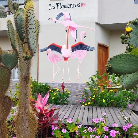 Hostal Los Flamencos Puerto Villamil Buitenkant foto