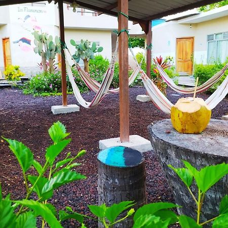Hostal Los Flamencos Puerto Villamil Buitenkant foto